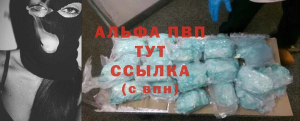 стаф Алзамай