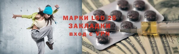 стаф Алзамай