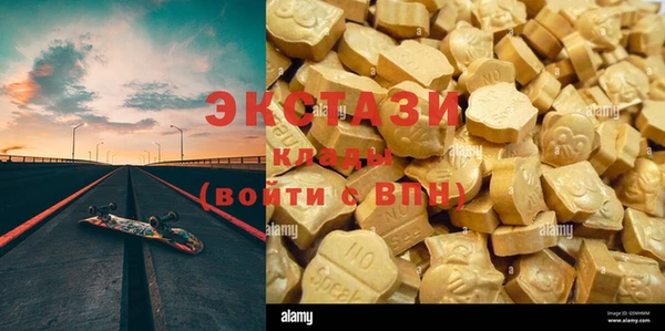 стаф Алзамай