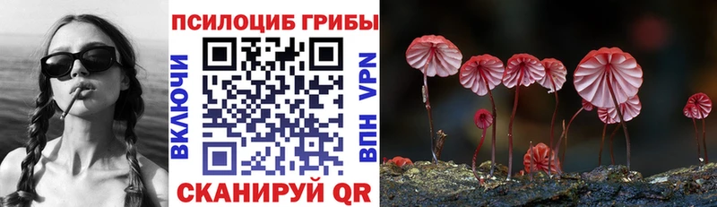 Галлюциногенные грибы MAGIC MUSHROOMS  mega зеркало  Красноуральск 